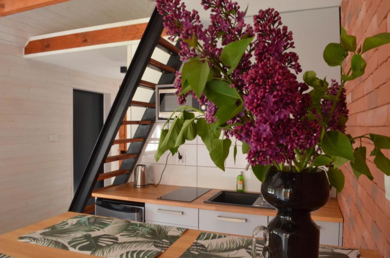 Ferienhaus Lawendowo- Sauna, Basen, W Ogrodzie I W Kamienicy Sandomierz