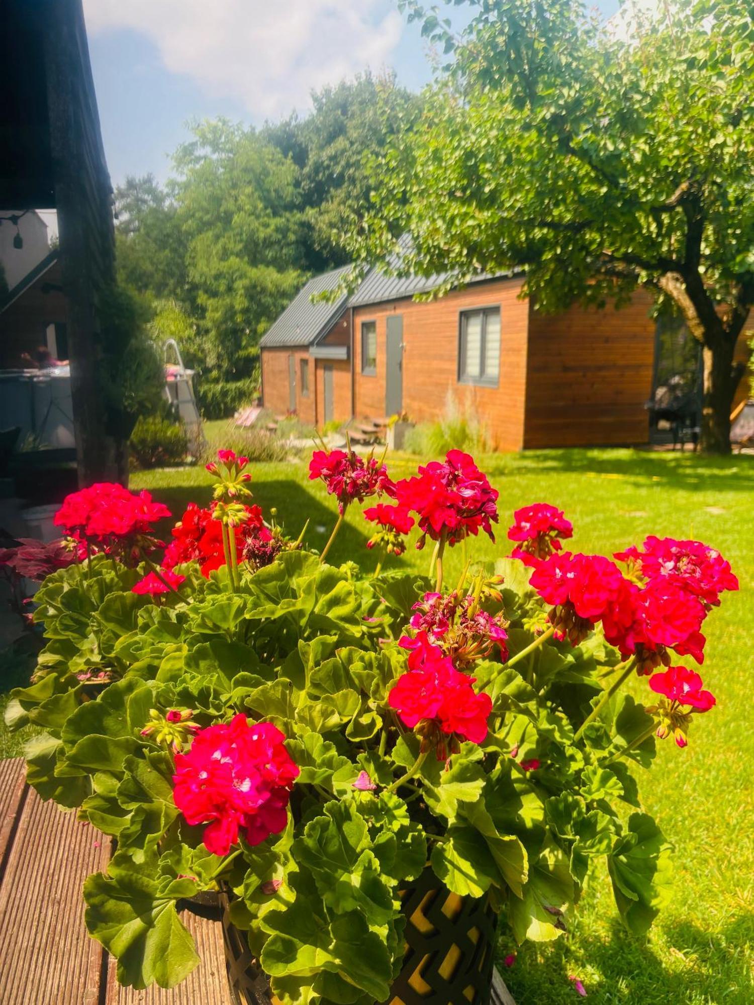 Ferienhaus Lawendowo- Sauna, Basen, W Ogrodzie I W Kamienicy Sandomierz